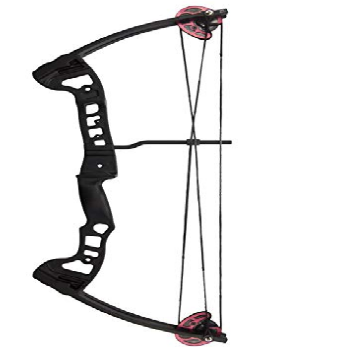 Barnett Vortex Lite Bow