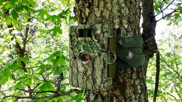 Best Trail Camera in 2018